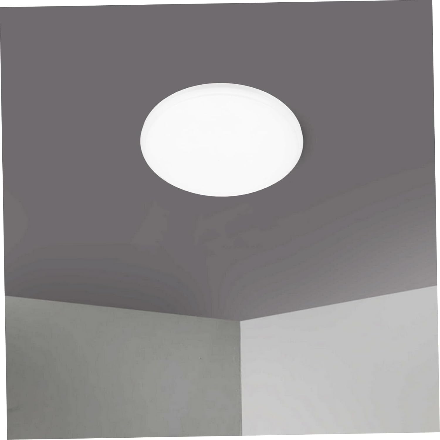 Ceiling Light Accessory Ceiling Light Fixture Cover Modern Lamp Globe Replacement Easy to Install