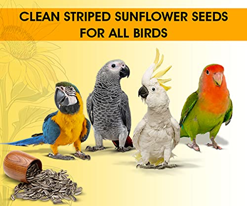 Image of BOLTZ Striped Premium Sunflower Seeds for Birds, Bird Food for Lovebirds, Cockatiels, Sun Conure, African Grey Parrot, Amazon, Macaws, Cockatoos for All Life Stages (3Kg(Pack 3))