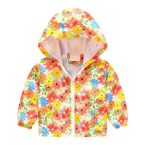 Toddler Girls Cartoon Hoodie Windbreaker Jacket Zipper Long Sleeve Fall Coat Lightweight Cute Outwear For Kids Boys