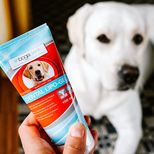 Bogadent Dental-Lipo Gel - Natürliche Hunde Zahnpflege für eine bessere Mundhygiene - Hundezahnpasta gegen Zahnstein & Mundgeruch - Zahngel Hund - 100 ml - UBO0707