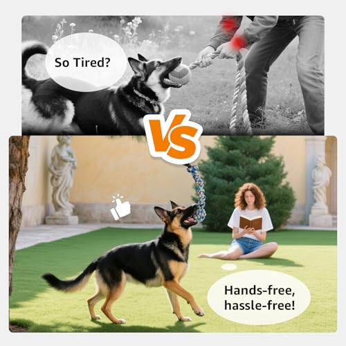 image for LOOBANI Outdoor Bungee Tug Toy, Dog Toy Hanging from Tree for Small to