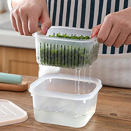 Contenitore in plastica per la conservazione degli Alimenti freschi per la Famiglia, con Coperchio e Scomparto di Scarico, Design di Controllo dell'Acqua Che Mantiene