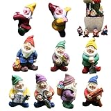 Dioeazh Figura de,Figura de Enano de Resina de Nueve Piezas,Decoraciones de Enano para Maceta - para Interior Exterior Mesita De Noche Maceta Estantería Jardín Césped Mesa Vivero