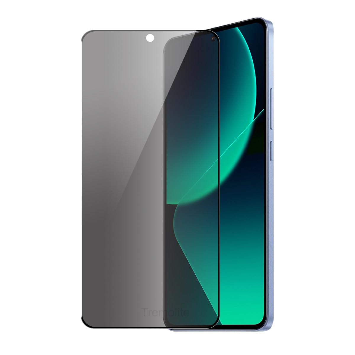 Tremolite Premium Privacy Tempered Glass Screen Protector For iQOO 12 (B0DCL61M4R) Amazon Price History, Amazon Price Tracker