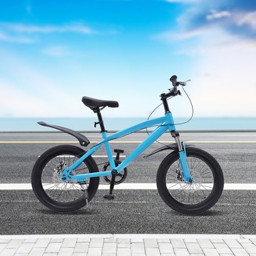 miihgnos Bicicleta infantil de 18 pulgadas, bicicleta de montaña para niños, para exteriores, con linterna eléctrica, bomba de neumáticos y bolsa de clasificación, bicicleta para niños y niñas, altura