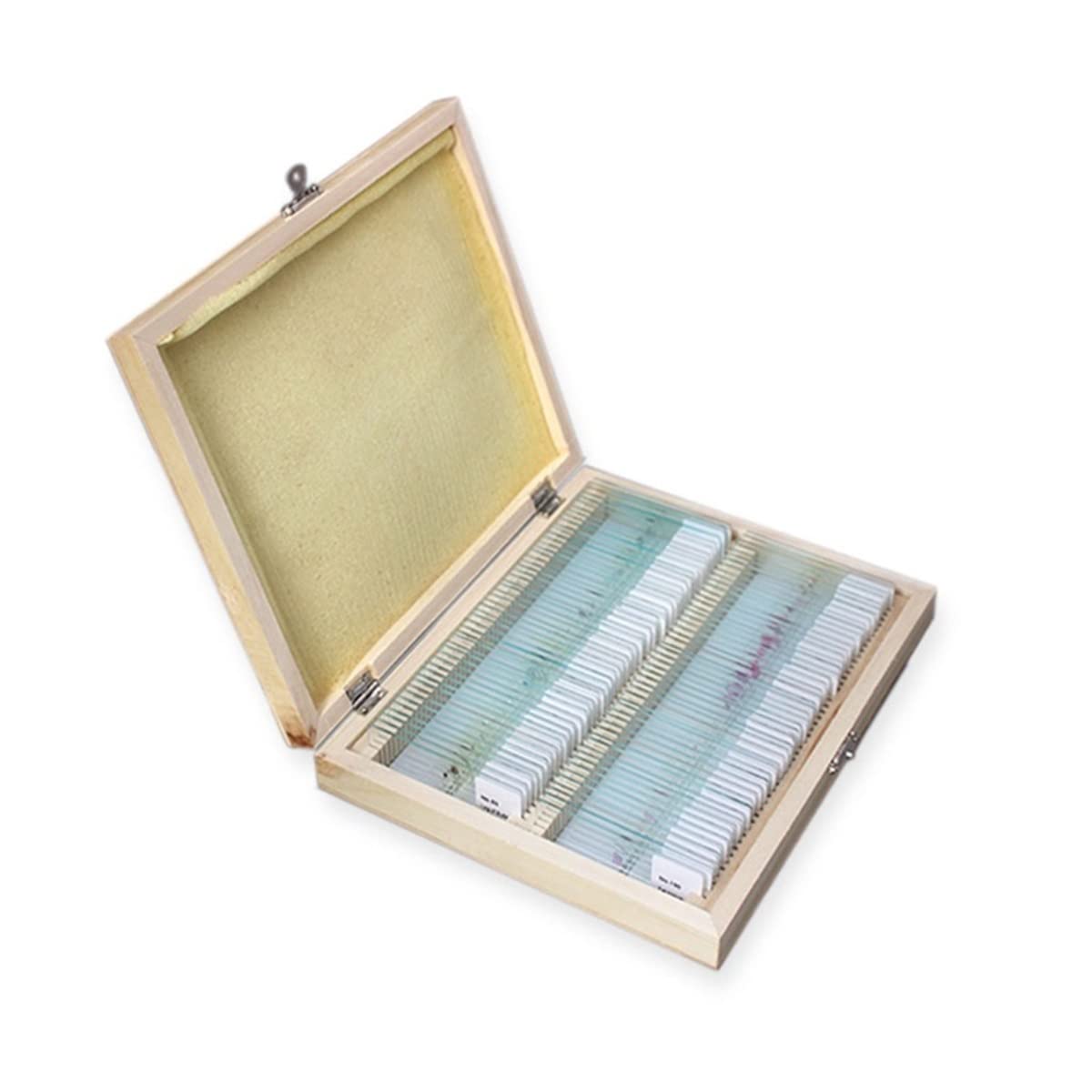 Kit de Accesorios para microscopios Conjunto de Diapositivas de microscopio Preparado Conjunto de Diapositivas Portaobjetos de microscopio (Color : 50)