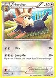 Pokemon - Herdier (109/146) - XY