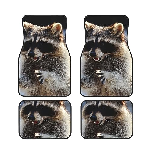 Tapis de sol universels pour voiture motif raton laveur SUV et camion