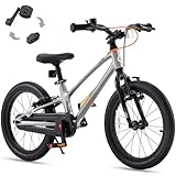 RoyalBaby EZ-Shark Ultra-Light 16 Inch Kids Bike Beginners Learning Bicycle Lightweight Alloy Boys Girls Ages 4+ Years, Grey