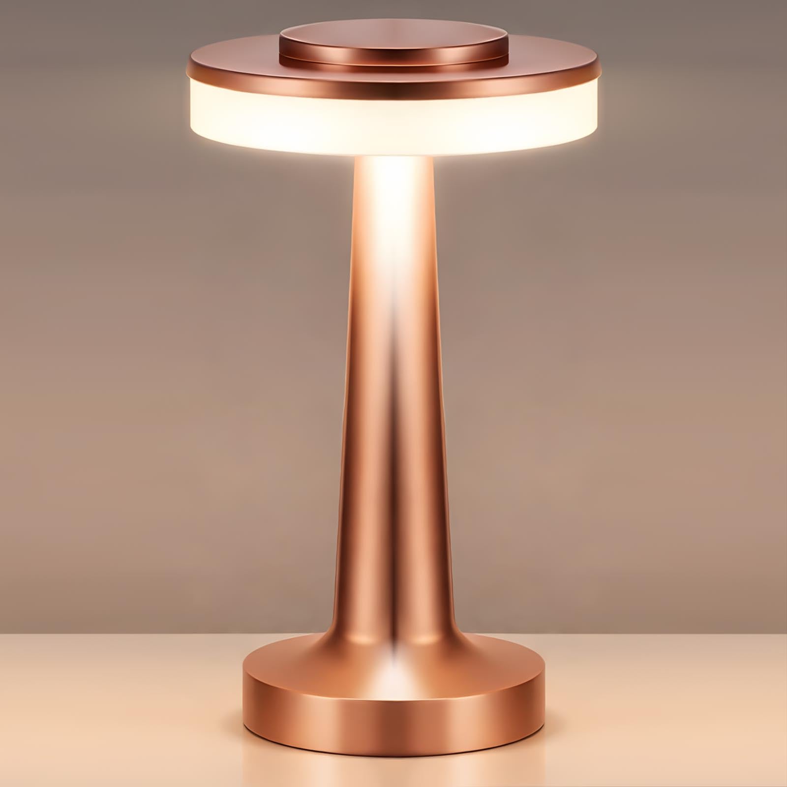 Riakrum 1 Pcs LED Cordless Table Lamp Bulk Rechargeable,Rose Gold