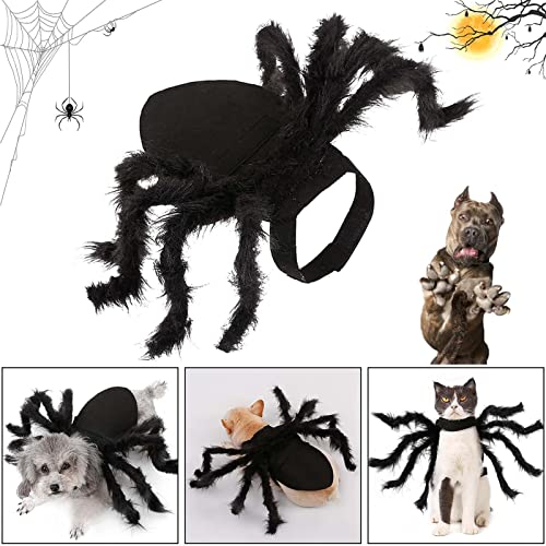 Traje de Aranha para Gato,Pet Spider Cosplay Traje Decoração de Festa | Acessórios de decoração engr