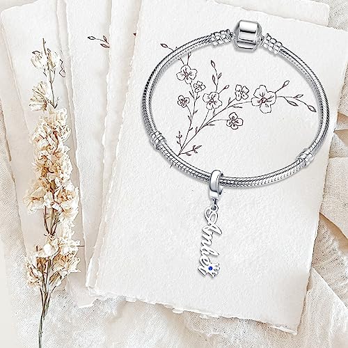 CharmSStory Personalized Birthstone Crown Custom Name Initial Letter Charms for Bracelets Customized Charms Compatible with Pandora Bracelets for Womens4