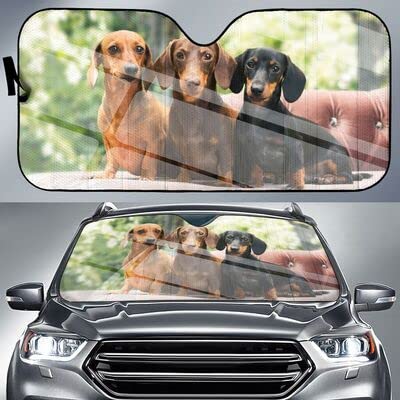 Couverture pare-brise voiture pliable et pare-soleil intérieur auto M
