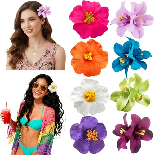 nCA t[ wANbv p 8 vA oXNbv 3.5C`  Nbv nCrXJX r[` wAANZT[ fB[X K[Y