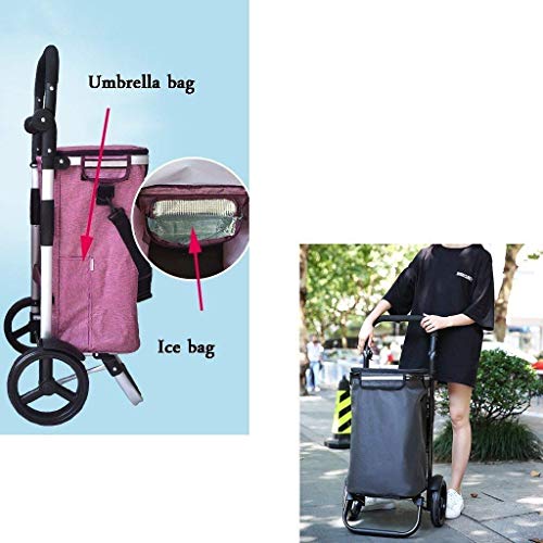 IGOSAIT Einkaufstrolley kleiner Wagen Tragbarer Trolley Auto Zuhause Trolley Aluminiumlegierung Stange für einfache… – Bild 4
