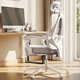 Dowinx オフィスチェア デスクチェア 140°リクライニング 連動式アームレスト 通気メッシュ 人間工学 ポケットコイルシート オットマン付き 椅子 テレワーク 疲れない 3Dヘッドレスト 可動式ランバーサポート パソコンチェア ソファの座り心地 ライトグレー LS-66W1-05