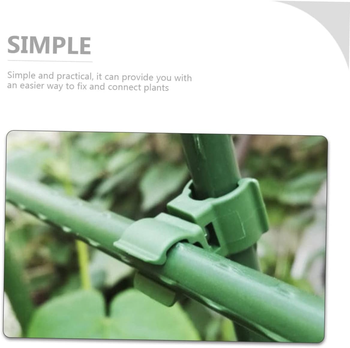 Yardwe 250pcs Plant Trellis Connector Clips Climbing Vine Fasteners for Garden Support for Building Plant Frames and Organizing Vines