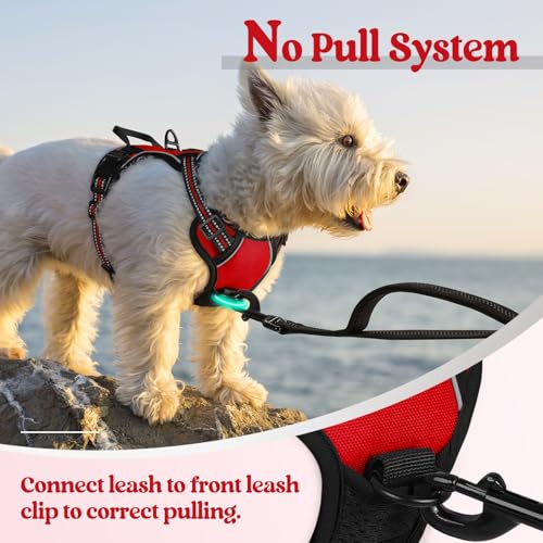 Image of rabbitgoo Dog Harness No Pull with 2 Leash Clips, Adjustable Soft Padded, Reflective Oxford No Choke Pet Vest with Easy Control Handle for Puppy, Red,XS | No Choke, Adjustable, Breathable Padded, 2 Lead Rings, Reflective, Easy Control for Walking Training, XS, Red