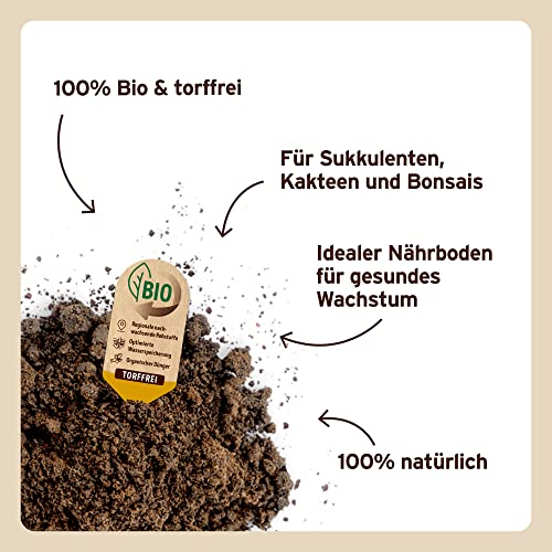 Substral Naturen Sukkulente & Kaktus Erde Bio & torffrei, für Sukkulenten, Kakteen und Bonsai, 3 Monate vorgedüngt, 5 L, Grün – Bild 4