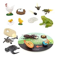 Volnau Animal Figurines Toys 17PCS Life Cycle Figure Set for Toddlers Kids Sea Turtle Frog Chicken Decorations Preschool Educational Prop