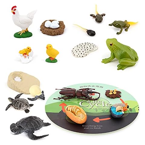 Volnau Animal Figurines Toys 17PCS Life Cycle Figure Set for Toddlers Kids Sea Turtle Frog Chicken Decorations Preschool Educational Prop Cover