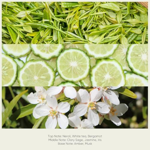 Lopeie White Tea Diffuser Oil – Essential Oil for Diffuser, Air Freshener & Room Spray – Long-Lasting with Notes of Tea, Neroli & Bergamot – Hotel Scent for Ultrasonic & Waterless Diffusers, 4.1 fl.oz - Image 4