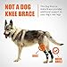 NeoAlly - Rear Leg Hock Brace with Metal Spring Strips, Dog Leg Brace for Rear Leg, Hock & Ankle Support, Rear Dog Leg Brace for Large Dogs, Long. (Both Legs, Medium)