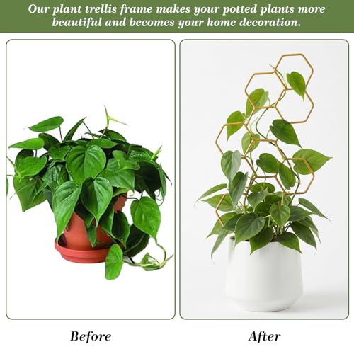 PEOVLVN Small Trellis for Potted Plants, 14 Inch Indoor Trellis for Climbing Plants Honeycomb Shape Metal Plant Trellis for Pots Plant Climbing Support for Flower Hoya Pothos Houseplants - Thumbnail 7