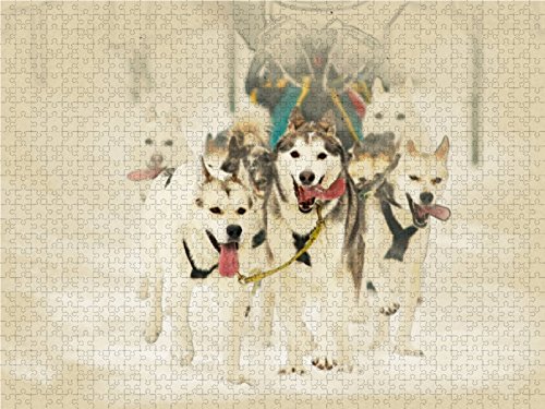 CALVENDO Puzzle Schlittenhunde 1000 Teile – Premium-Fotopuzzle, 64 X 48 Cm Lege-Größe, Perfekt Für Gemütliche Stunden