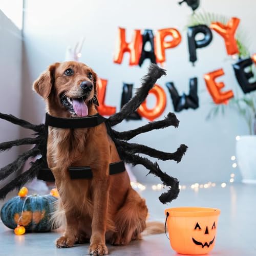 Cat Horror Spinnenkostüm Spinne Dog Kleidung Decor Kostüm Hundekostüm Katze Katzen Hund Gruselig Costume Haustier Kostüm Für Party Weihnachten Schwarz (M Size)