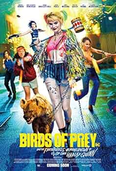 B2大 ポスター　ハーレイ・クインの華麗なる覚醒 BIRDS OF PREY 51wFdBuah9L._UF350,350_QL50_.jpg