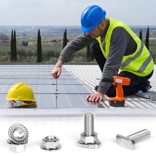 EXLECO 30 x Hammerkopfschrauben M10x30mm Edelstahl Hammerkopf Schrauben T Nut Bolzen mit Kunststoffbox Edelstahlschraube Befestigung mit Flanschmuttern für T Nut Schiene Gewächshaus Profilschienen