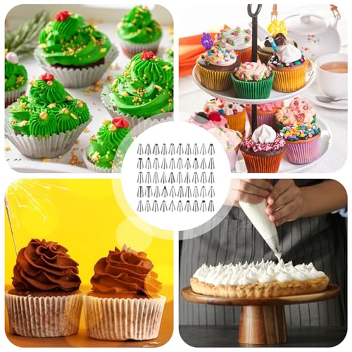Oruola 50Pcs Cake Tips for Decorating, 48 Different Patterns Stainless Steel Cake Decorating Tips and 2 Reusable Plastic Coupler for Cake & Cupcake Cookies Decorating, Cake Piping Tips Set
