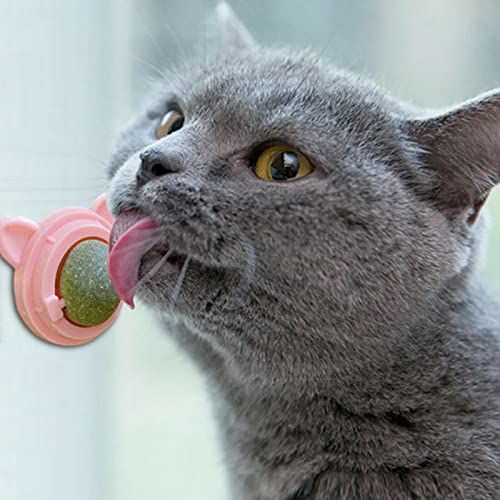 Bola de parede Catnip Catnip | Bolas de Catnip de parede de brinquedo de dentição de gato comestívei