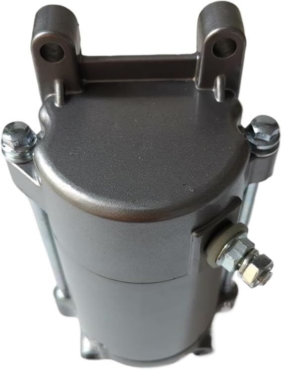 Starter Motor,Compatible With 253FMM Rebel CA250 CMX250 Tank Vision Baja Phoenix Regal Raptor DD250 CBT125 CBT150 CBT250 Jinlun Texan 250