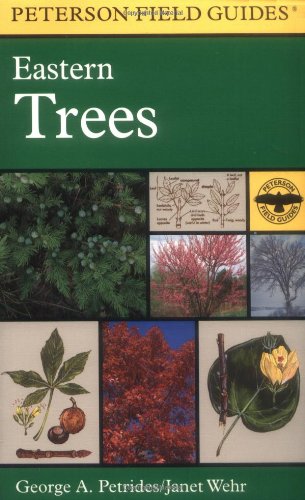 A Field Guide to Eastern Trees: Eastern United States and Canada, Including the Midwest (Peterson Field Guide)