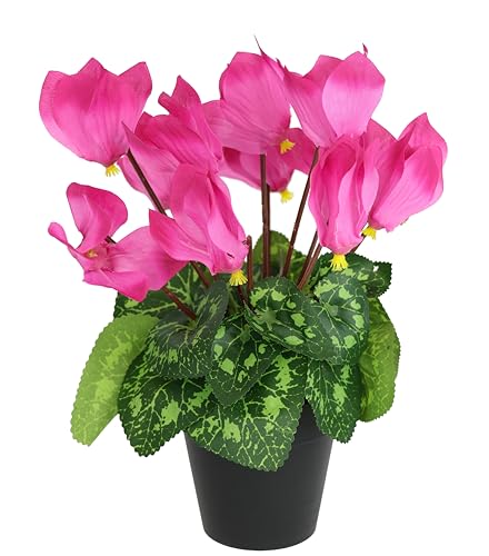 Künstliche Alpenveilchen im Topf Blume Deko Dekoblume Dekopflanze Frühjahr Frühlingsblüher Kunstblume Kunstpflanze Pflanze Primelbusch Primeln Primula Schlüsselblume Seidenblume Zimmerpflanze