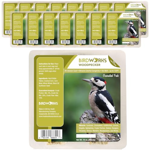 Heath Outdoor Products Woodpecker All Season No Mess Suet Cake Birders Pack, Food for Woodpeckers, Cardinals, Siskins, Sparrows, Finch's & Many More Wild Birds & More - 10oz Suet Feeder, (Pack of 16)