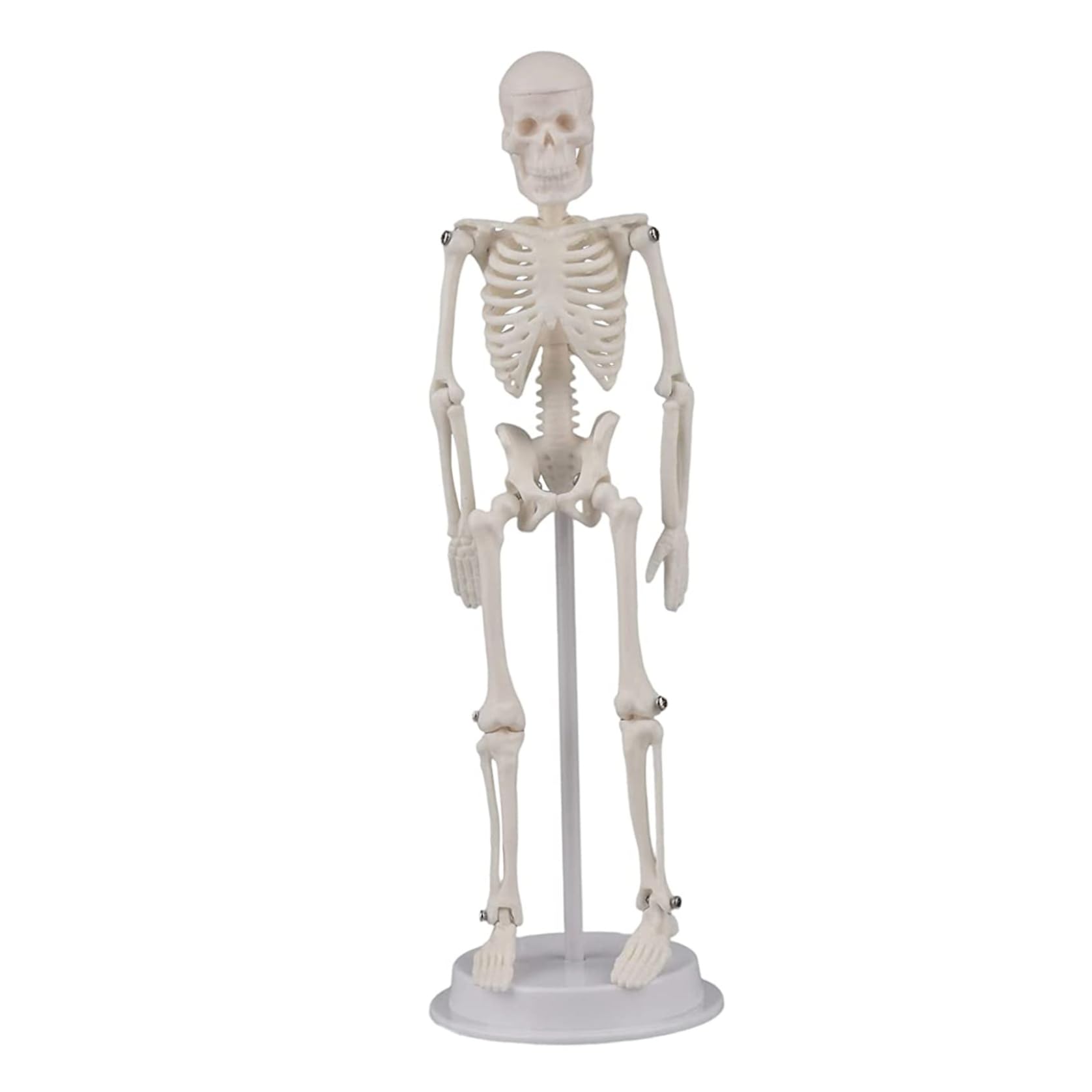 Sjfbebsy Mini Skeleton Toy, 7.87in Halloween Detachable Movable Joint Tabletop Skeleton Model for Party Teaching, Toys