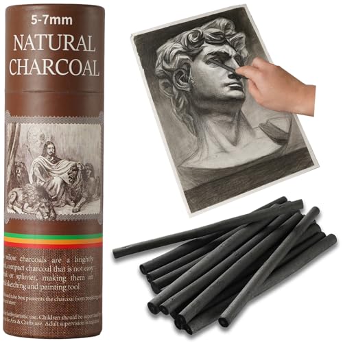 Trzzyan 25 PCS Willow Charcoal Sticks