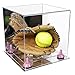 Better Display Cases Acrylic Versatile Display Case - Medium Square Box with Mirror Case, Pink Risers and Mirror Base 11