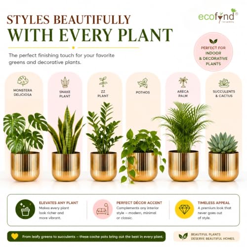 Image of ecofynd 1 Pack Metal Plant Pot (6.3 inch), Indoor Small Planter Flower Pots, Home Garden Decor Planter for Living Room Bedroom Interior (Gold Finish, POT047)