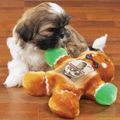 Dog Navy Hoodie Pullover X Small - Pet Sweatshirt