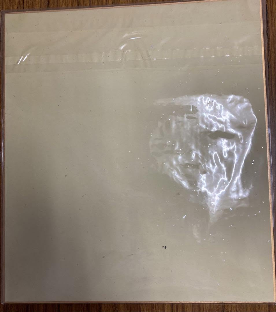 Amazon.co.jp: ダチョウ倶楽部 直筆 サイン色紙 : おもちゃ