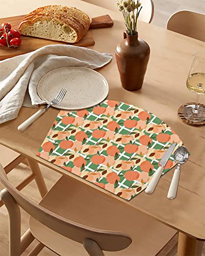 Spring Summer Wedge Shaped Placemats For Dining Table Set Of 2, Watercolor Peach Simple Style Round Table Placemats Washable Table Mats For Kitchen Farmhouse Hotel #TOP2