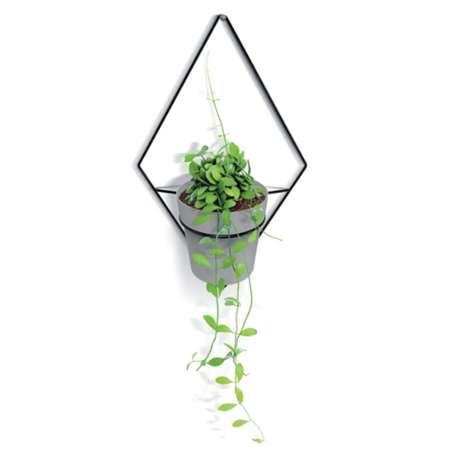 B2C Wall mounted plant pot holder bracket Hanging basket Planter Flowerpot Support Modern Geometrical Industrial Home Garden (Small - Diamond)