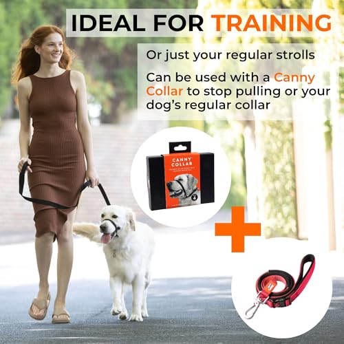 Expert Tips for Canny Connect Leash