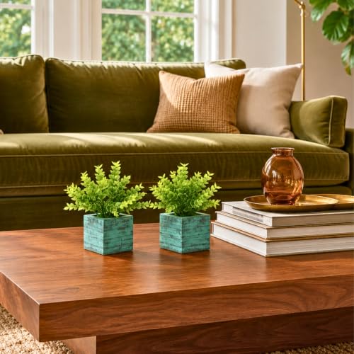 Image of DecoreBugs Artificial Eucalyptus Plant with Plastic Pot (Pack of 2) | 12 cm Height | Mini Potted Plants for Shelf Decor, Home, Office, Living Room, Desk & Table Item Decoration
