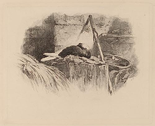 Lienzo decorativo premium Paloma en un nido de Karl Bodmer, pintura artística de 60x90cm