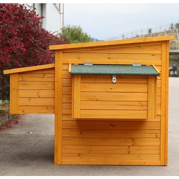 Pollaio in Legno Sebright XXL Senza Fondo | Mod. SXXL Anti Predatore